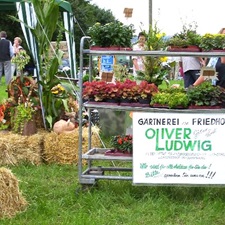 www.gaertnereiludwig.de